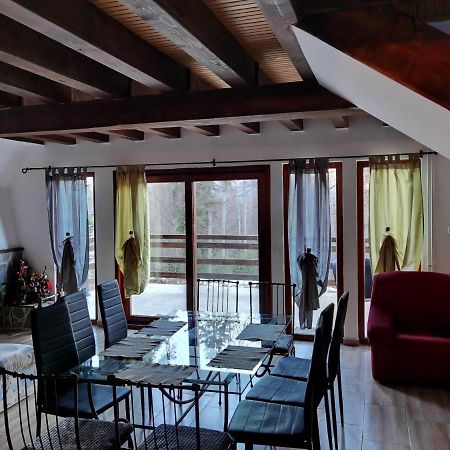 Vila Ines Sinaia Kültér fotó