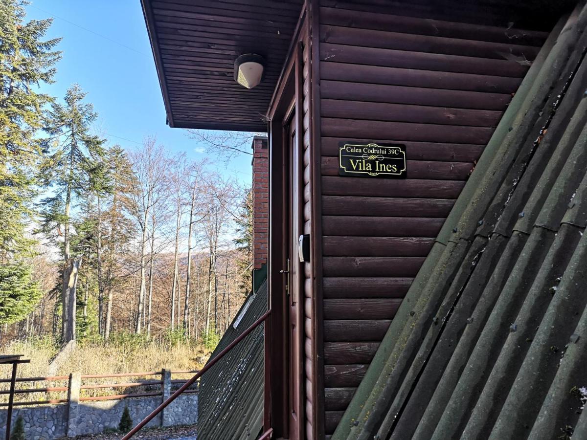 Vila Ines Sinaia Kültér fotó