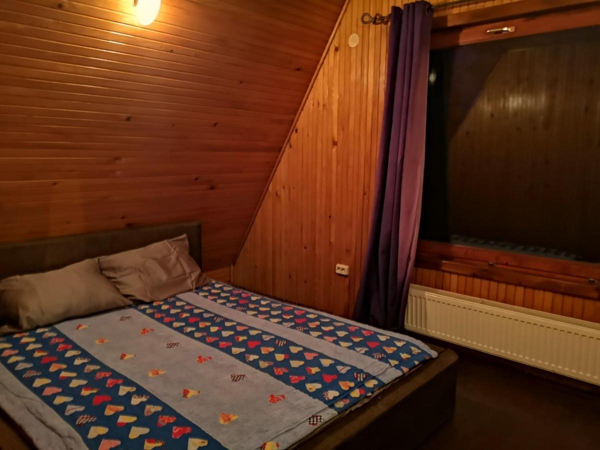 Vila Ines Sinaia Kültér fotó