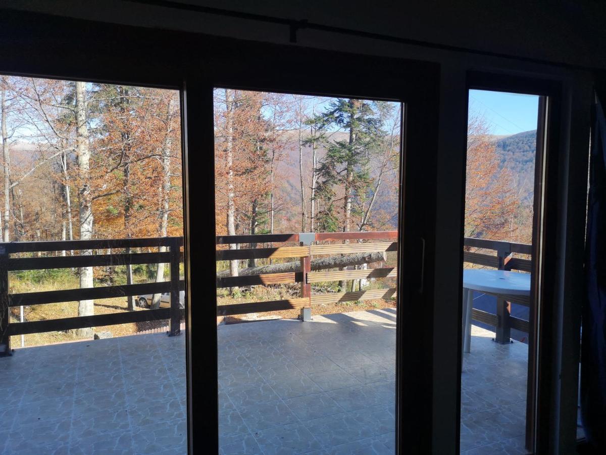 Vila Ines Sinaia Kültér fotó