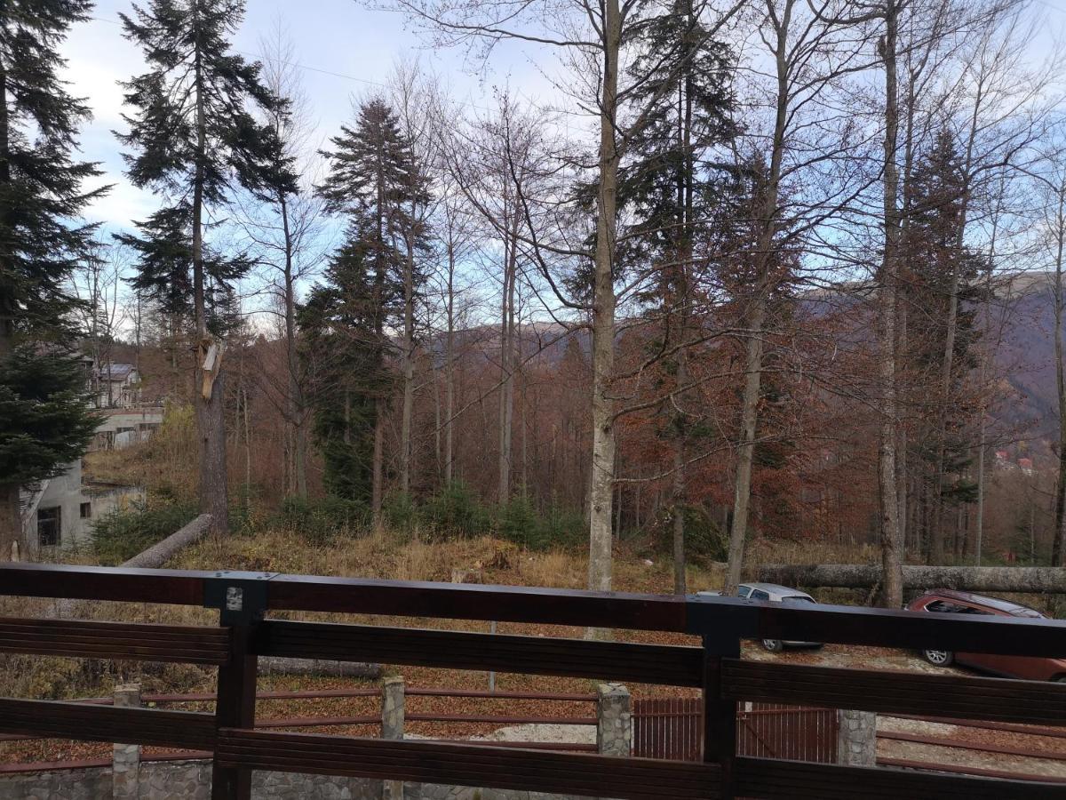 Vila Ines Sinaia Kültér fotó