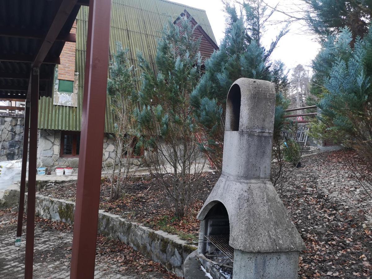 Vila Ines Sinaia Kültér fotó