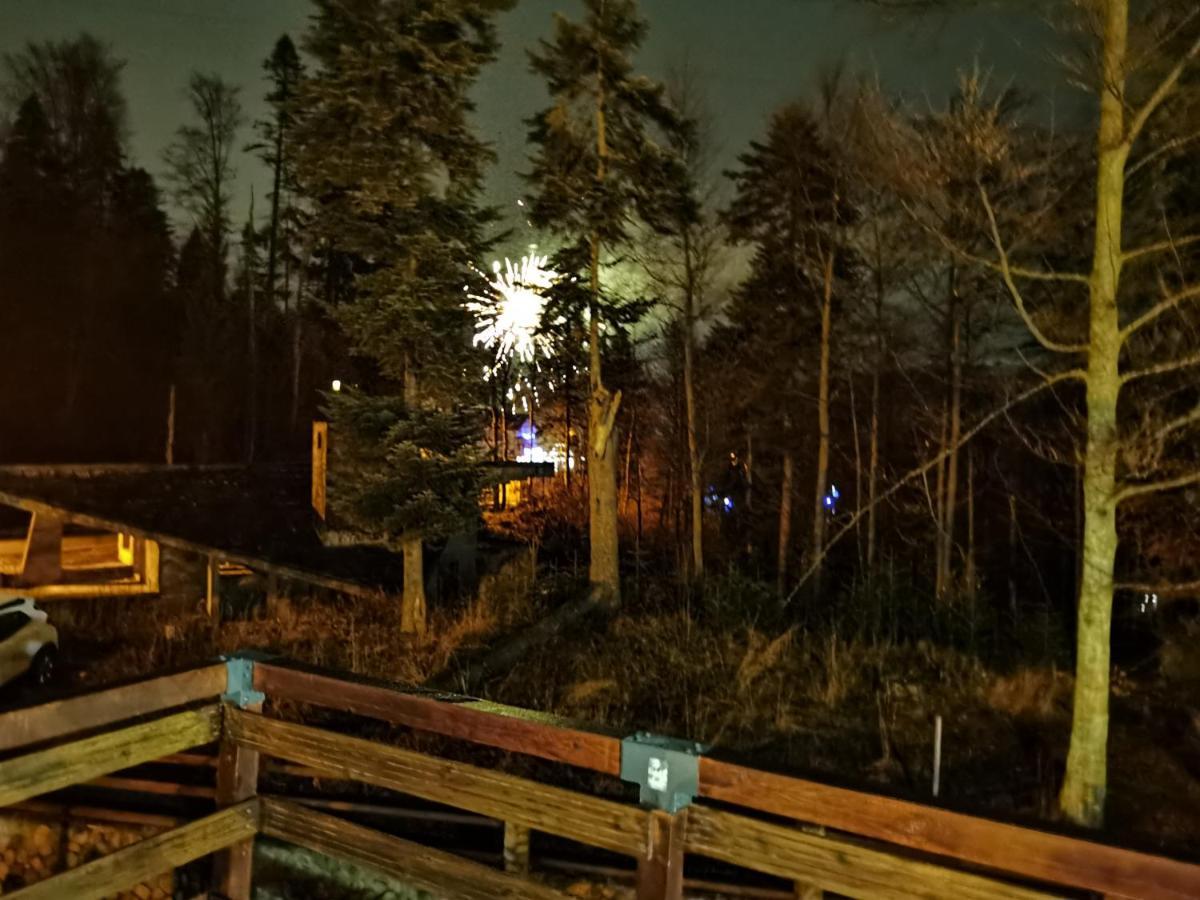 Vila Ines Sinaia Kültér fotó