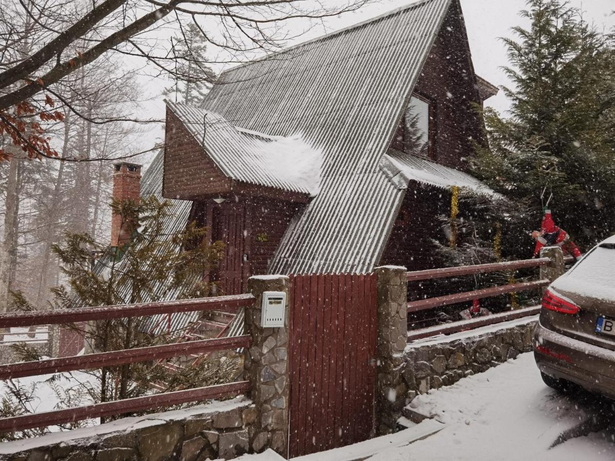 Vila Ines Sinaia Kültér fotó