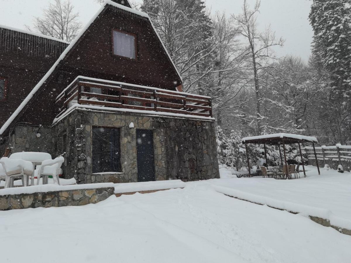 Vila Ines Sinaia Kültér fotó