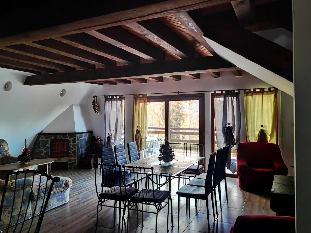 Vila Ines Sinaia Kültér fotó