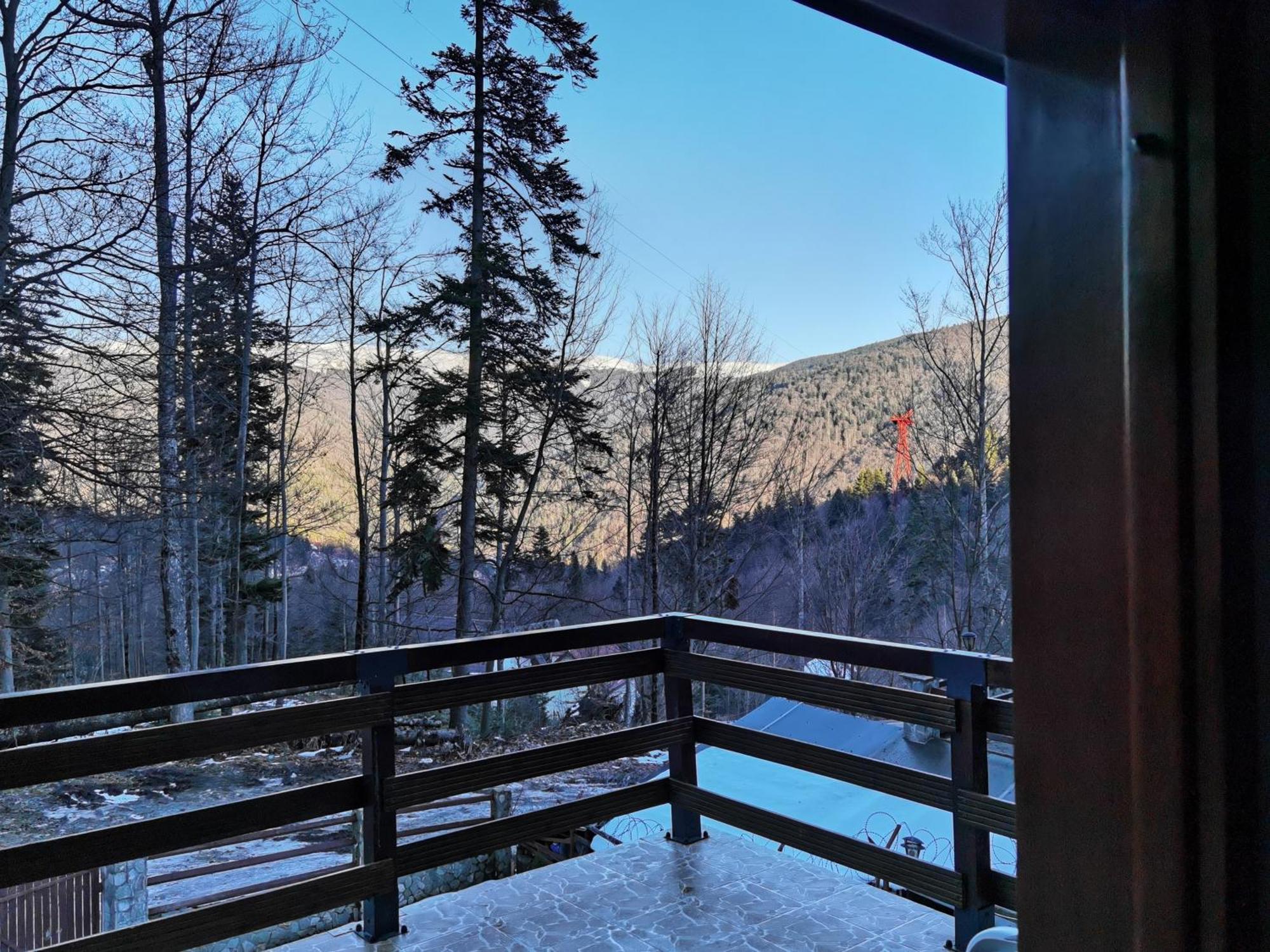Vila Ines Sinaia Szoba fotó